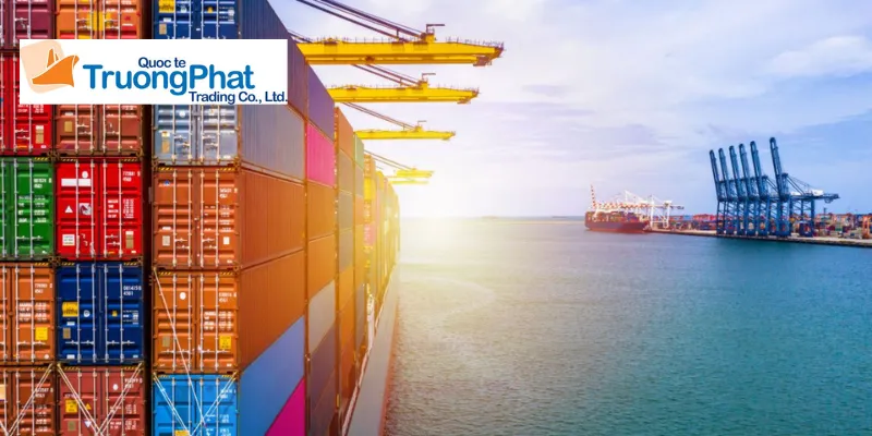 Cảnh báo rủi ro về tham vấn giá khi nhập khẩu vali nhựa