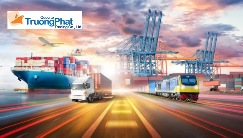Dịch vụ nhập khẩu trọn gói tại Trường Phát Logistics