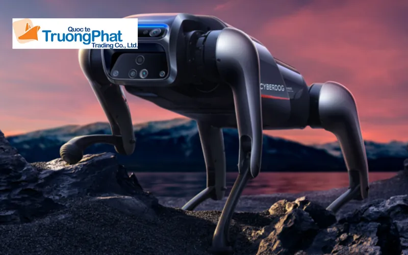 Tổng quan chính sách nhập khẩu robot Xiaomi CyberDog hiện nay