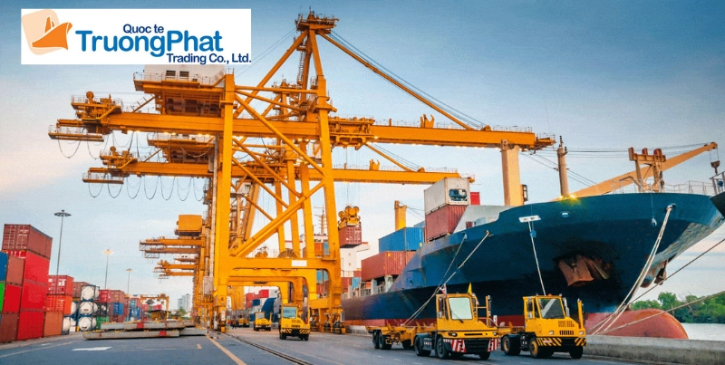 Quy trình cung cấp dịch vụ hải quan trọn gói tại Trường Phát Logistics