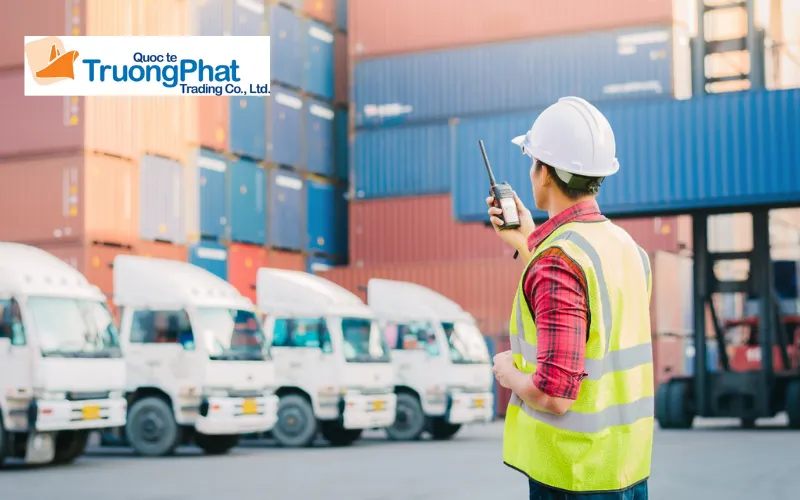 Bộ hồ sơ hải quan và quy trình thực hiện tại Trường Phát Logistics