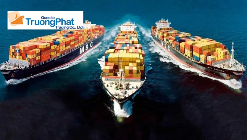 Doanh nghiệp nên lựa chọn dịch vụ của Trường Phát Logistics