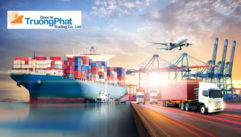 Giải pháp nhập khẩu toàn diện tại Trường Phát Logistics