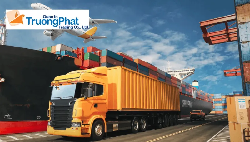 Lợi ích vượt trội khi sử dụng dịch vụ nhập hàng Tmall của Trường Phát Logistics