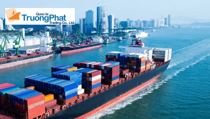 Trường Phát Logistics cung cấp giải pháp mua hàng Xianyu an toàn và tối ưu