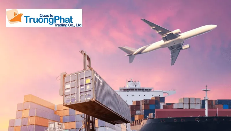 Quy trình 5 bước mua hàng Xianyu chuyên nghiệp tại Trường Phát Logistics