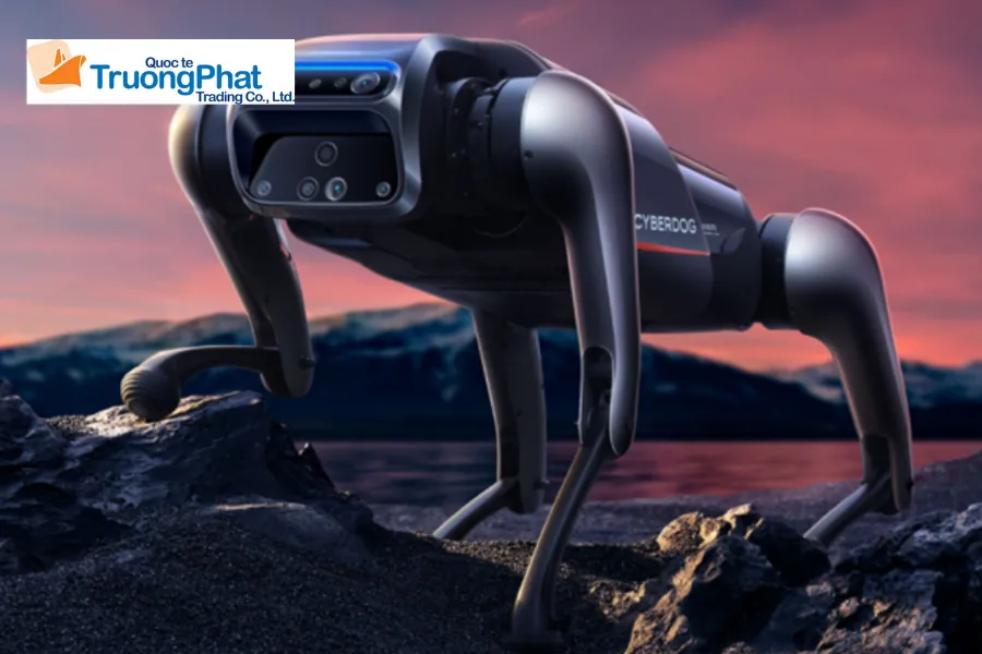Thủ Tục Nhập Khẩu Khẩu Robot Bốn Chân Xiaomi CyberDog Với Hướng Dẫn Chi Tiết 