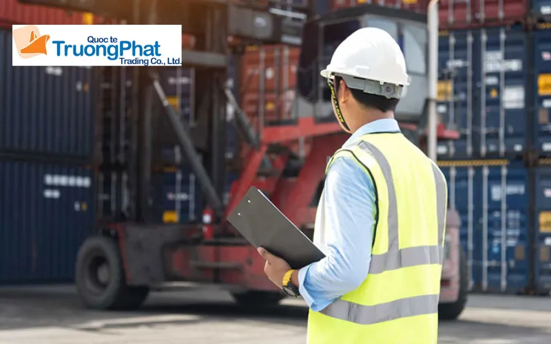Quy trình 5 bước nhập khẩu chuyên nghiệp tại Trường Phát Logistics