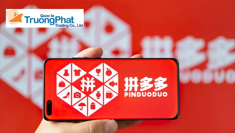 Tổng quan về sàn TMĐT Pinduoduo và tiềm năng kinh doanh cho doanh nghiệp Việt