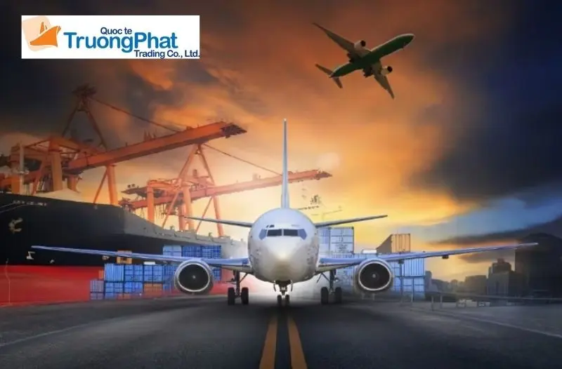 Tại sao Trường Phát Logistics là lựa chọn tối ưu cho cá nhân và kinh doanh nhỏ?