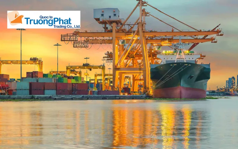 Giải pháp nhập khẩu trọn gói tại Trường Phát Logistics