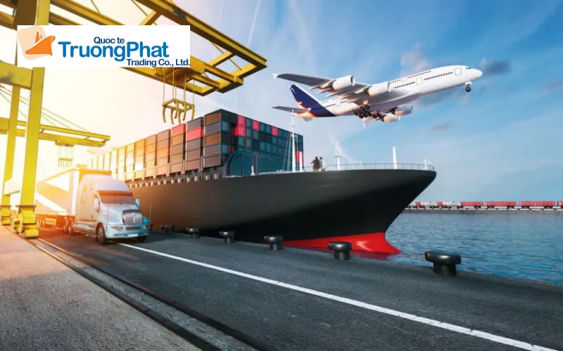 Quy trình dịch vụ nhập khẩu máy pha cà phê tại Trường Phát Logistics