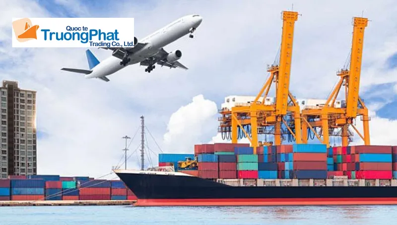 Tại sao doanh nghiệp nên lựa chọn Trường Phát Logistics?