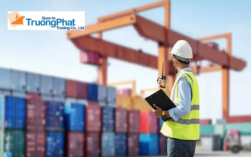 Bộ hồ sơ hải quan và yêu cầu về tài liệu kỹ thuật đi kèm