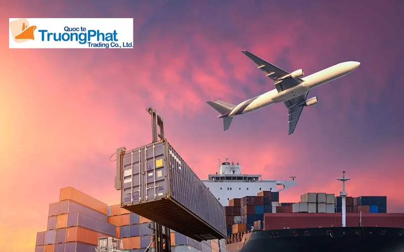 Giải pháp nhập khẩu trọn gói tại Trường Phát Logistics
