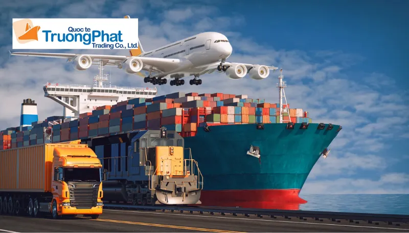 Chi tiết các loại thuế nhập khẩu và lợi ích từ chứng nhận xuất xứ (C/O)