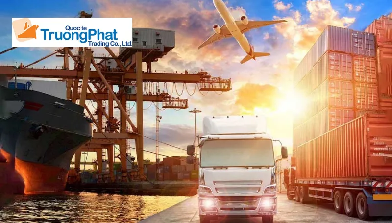 Chọn dịch vụ nhập khẩu trọn gói tại Trường Phát Logistics