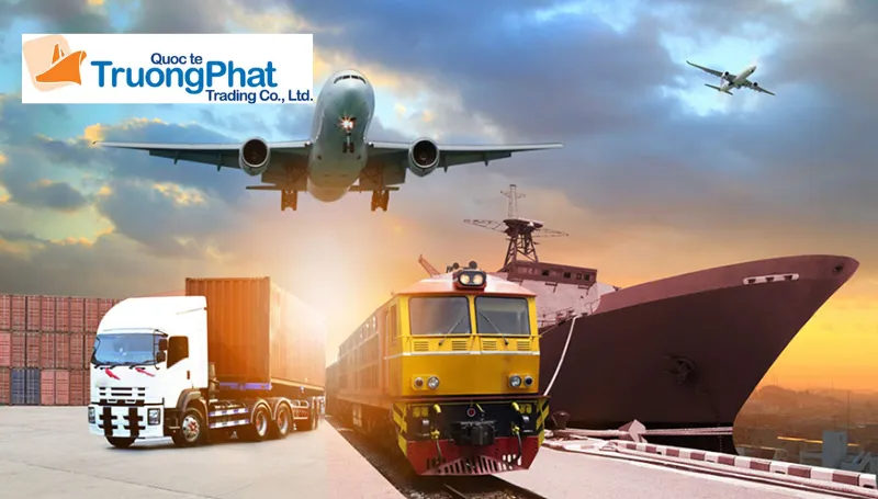 Trường Phát Logistics là lựa chọn hàng đầu cho dịch vụ nhập hàng Trung Quốc