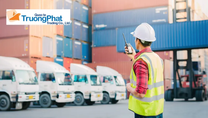 Thành phần bộ hồ sơ hải quan cần thiết để thông quan hàng hóa