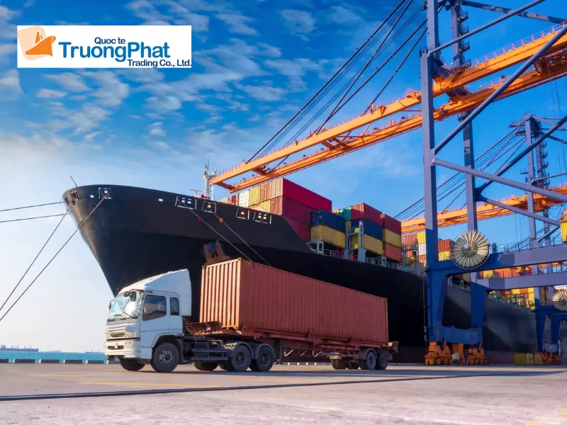Giải pháp nhập khẩu an toàn tại Trường Phát Logistics