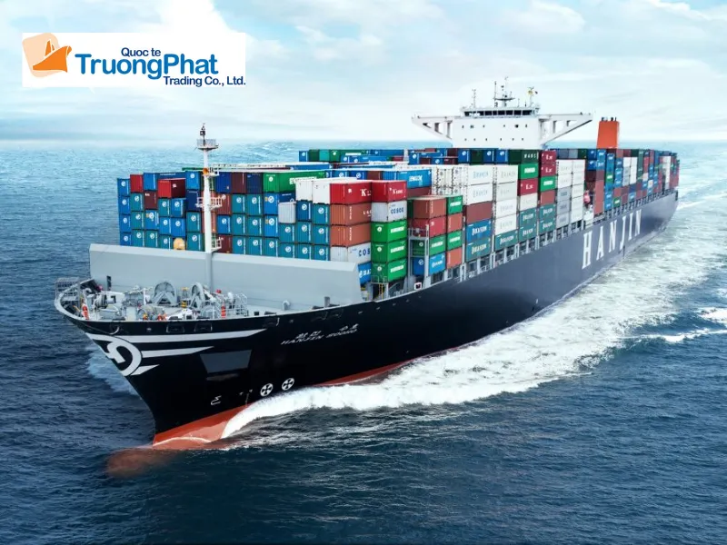 Quy trình thực hiện thủ tục hải quan tại Trường Phát Logistics