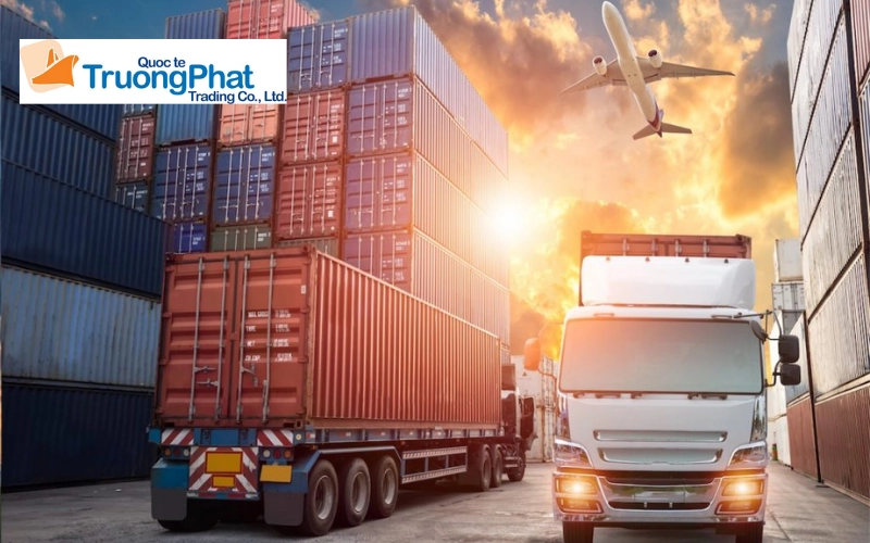 Quy trình 5 bước nhập khẩu giường khám phụ khoa tại Trường Phát Logistics