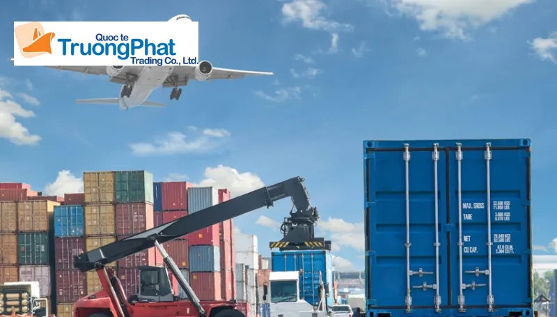Quy trình 5 bước nhập hàng Xiaohongshu tối ưu tại Trường Phát Logistics