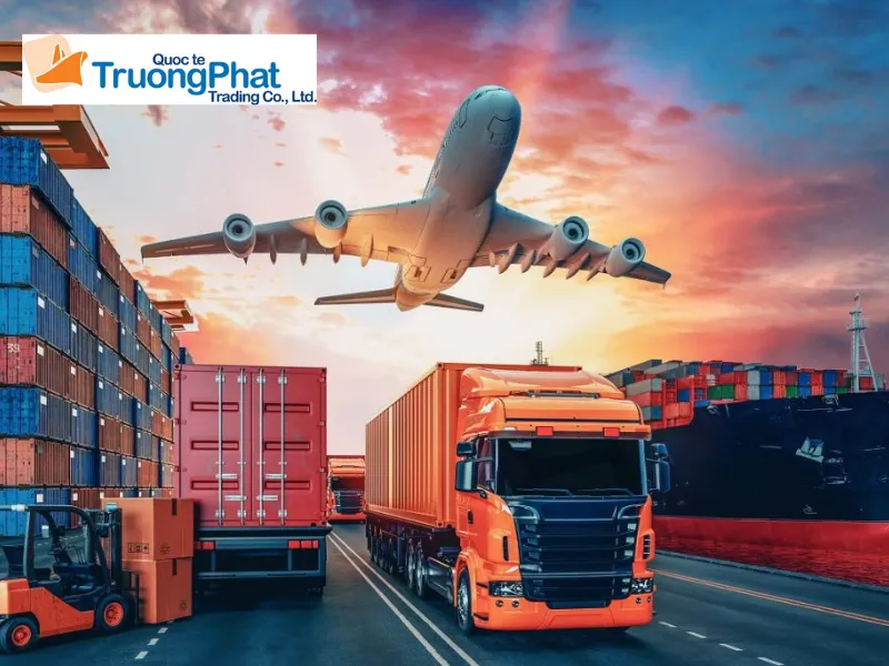 Thế mạnh vận chuyển và bảo hộ hàng hóa của Trường Phát Logistics