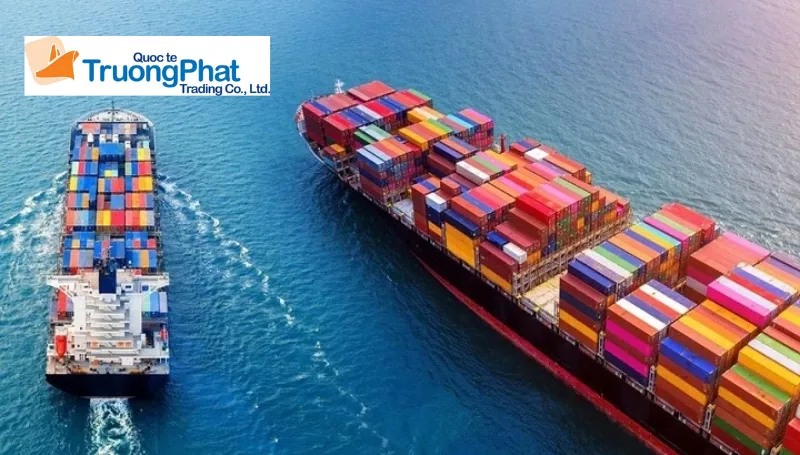 Quy trình thực hiện nhập khẩu tại Trường Phát Logistics