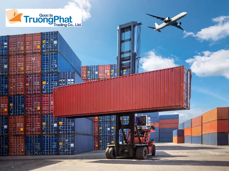 Tại sao doanh nghiệp nên chọn Trường Phát Logistics làm đối tác nhập hàng China