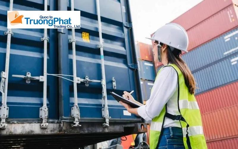 Hướng dẫn khai báo tên hàng và chứng minh đặc tính chuyên dụng