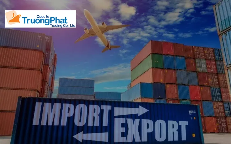 Quy Trình 5 Bước Nhập Khẩu Trọn Gói Tại Trường Phát Logistics