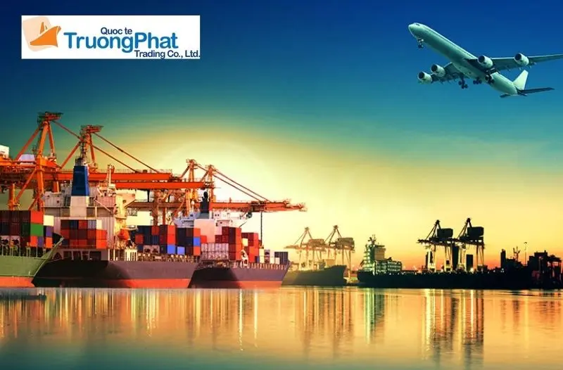 Tại sao nên chọn Trường Phát Logistics cho dịch vụ ủy thác nhập khẩu? Tại sao nên chọn Trường Phát Logistics cho dịch vụ ủy thác nhập khẩu?