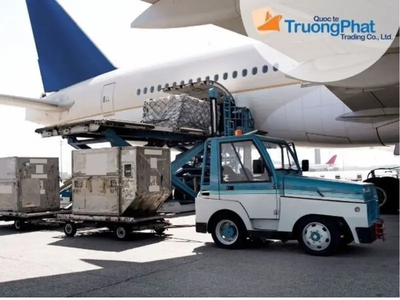 Trường Phát Logistics – lựa chọn hiệu quả cho chi phí hợp lý.