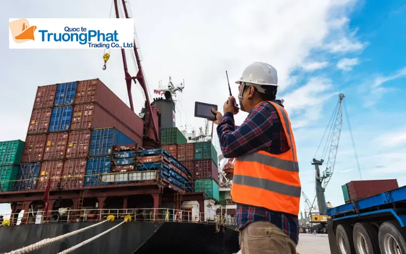 Quy trình 5 bước nhập khẩu dây đai chằng hàng tại Trường Phát Logistics