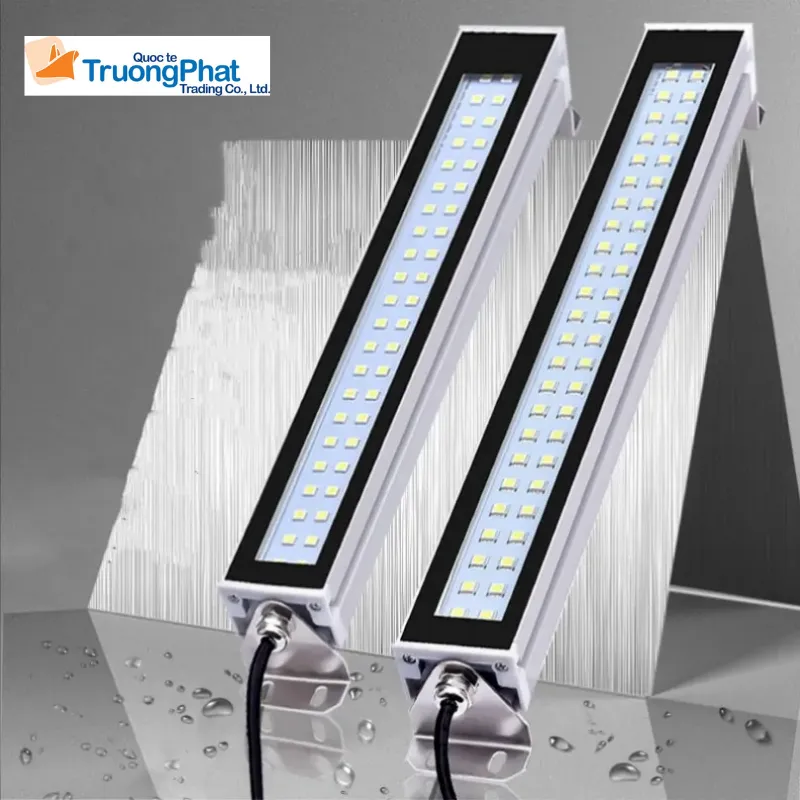 Tầm quan trọng của Catalogue trong việc chứng minh bản chất hàng hóa