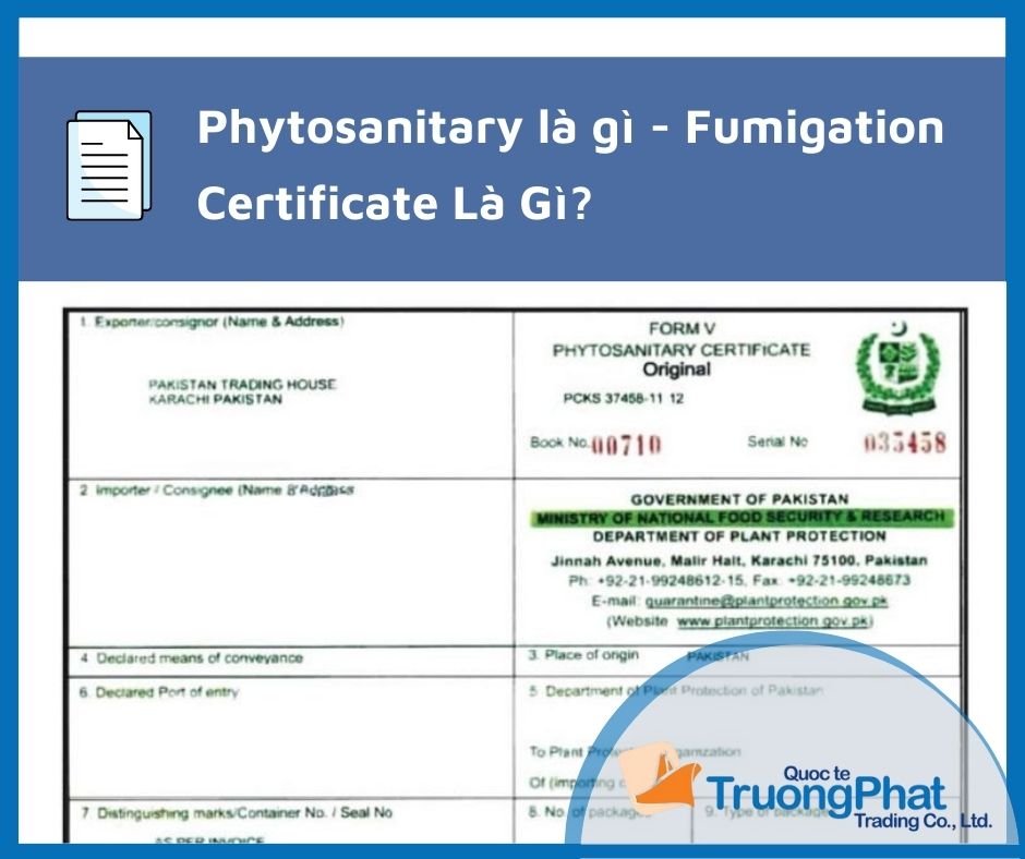 Phytosanitary là gì - Fumigation Certificate Là Gì?