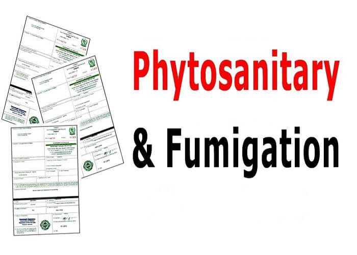 Phytosanitary là gì - Fumigation Certificate Là Gì?