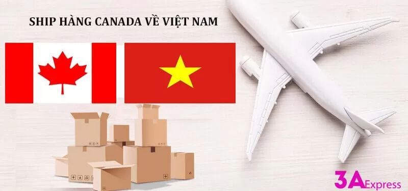 Lưu ý khi chọn đơn vị ship hàng từ Canada về Việt Nam