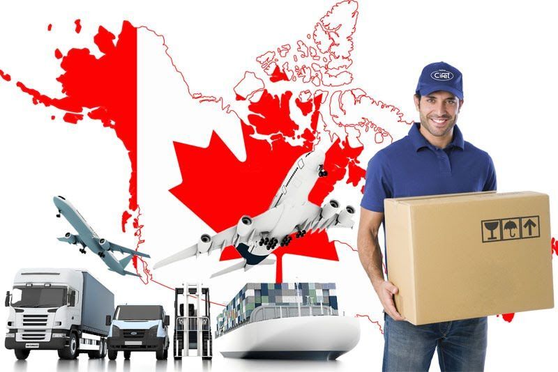 Các loại hàng hóa gửi hàng từ Canada về Việt Nam