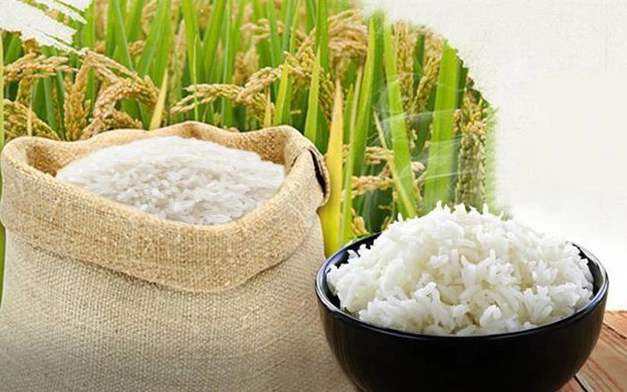 Làm thủ tục xuất khẩu gạo ở đơn vị nào uy tín?